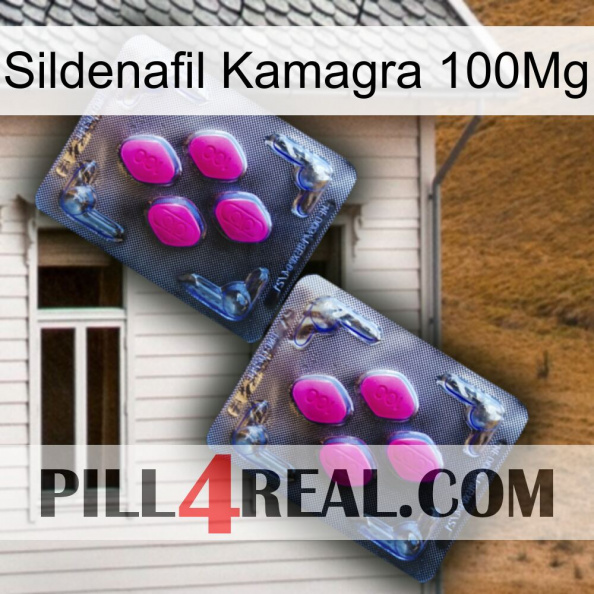 Sildenafil Kamagra 100Mg 01.jpg